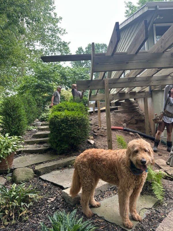 Riverside Custom Deck Construction Project image