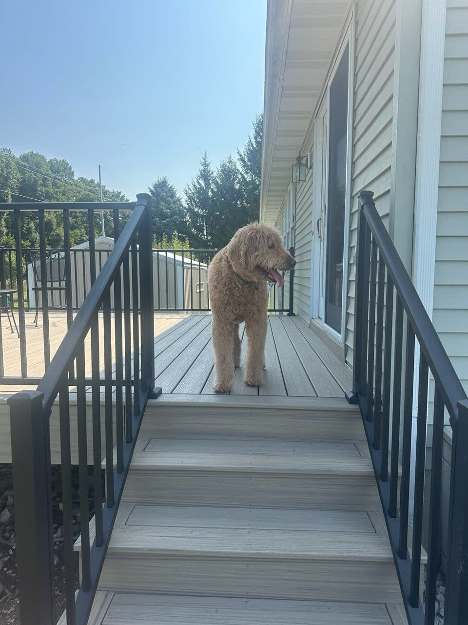 Charming Trex Deck with Pet-Friendly Features image